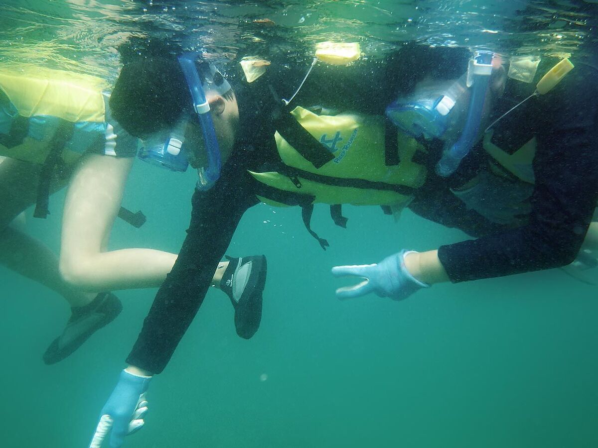 子どもたちがスノーケリングをしている画像