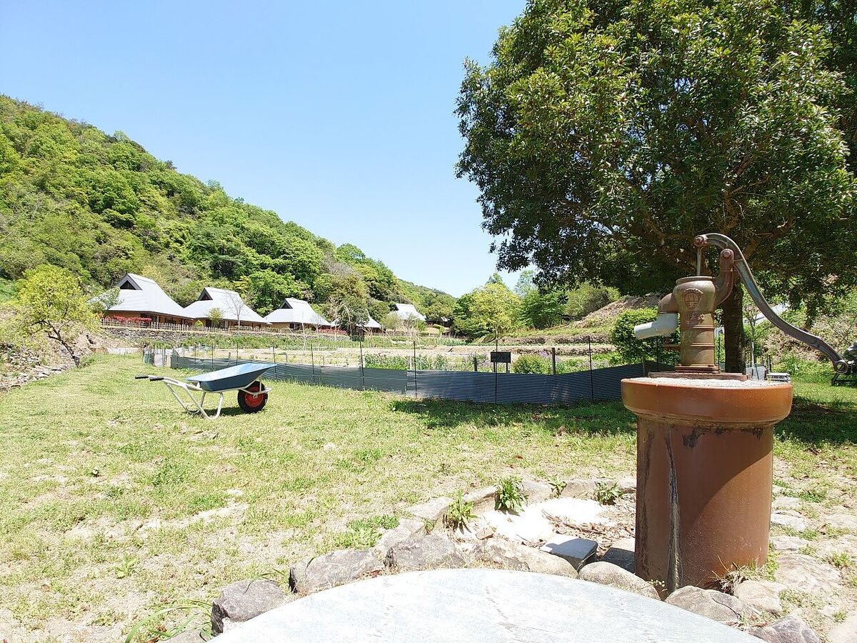 紀泉わいわい村5