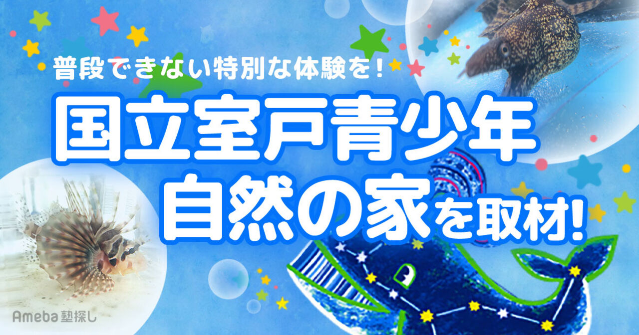 「国立室戸青少年自然の家」で普段できない特別な体験を！仲間の大切さを学ぶ活動について聞いてみたの画像