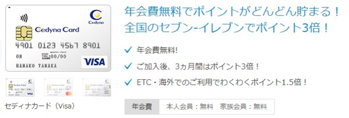 お金を借りる_セディナカード